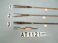 藏品(三鏃竹箭)的圖片